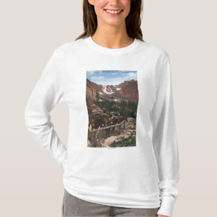 Rocky Mountain National Park, CO T-Shirt