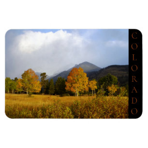 Rocky Mountain National Park Colorado Aspens Magnet