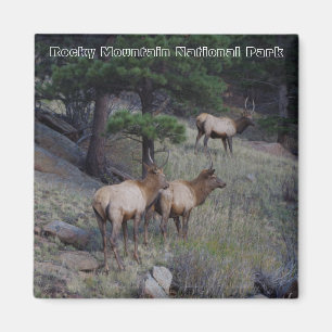 Rocky Mountain National Park Magnets