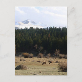 Rocky Mountain National Park Postcard