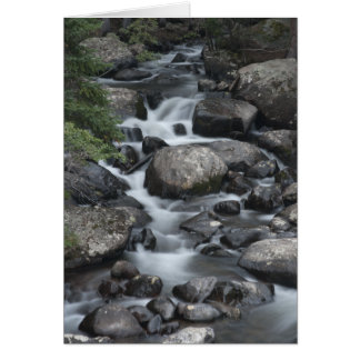 Rocky Mountain National Park Stream Card