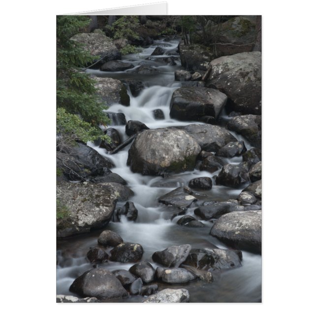 Rocky Mountain National Park Stream Card (Front)