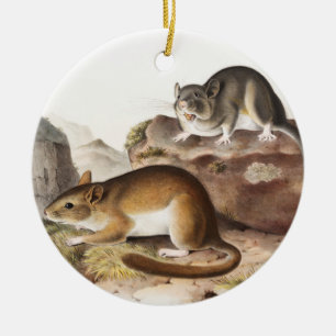 Rocky Mountain Neotoma Mouse (Neotoma Drummondii) Ceramic Tree Decoration