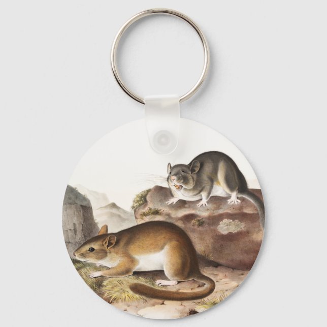 Rocky Mountain Neotoma Mouse (Neotoma Drummondii) Key Ring (Front)