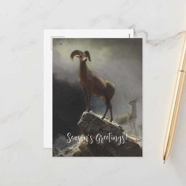 Rocky Mountain Sheep by Albert Bierstadt Holiday Postcard (Front/Back In Situ)