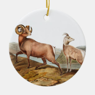 Rocky Mountain Sheep (Ovis montana) Illustration Ceramic Tree Decoration