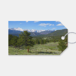 Rocky Mountain View Scenic Landscape Gift Tags