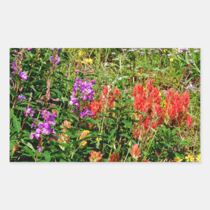 Rocky Mountain Wildflowers Rectangular Sticker