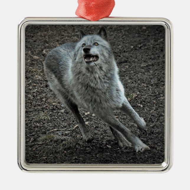 Rocky Mountain Wolf Metal Tree Decoration (Front)