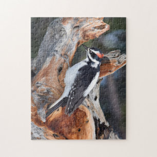 Rocky Mountain Woodpecker - RMNP - 11x14 - 252 pc Jigsaw Puzzle