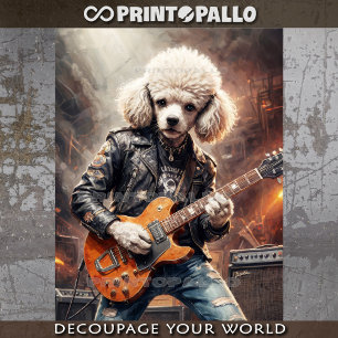 Rocky Poodle play guitar at concert -  Tissue Paper