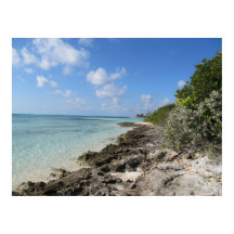 Rocky Shore - Coco Cay