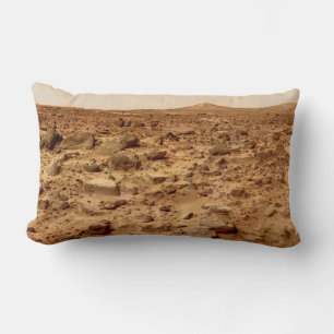 Rocky Surface of Planet Mars Lumbar Cushion