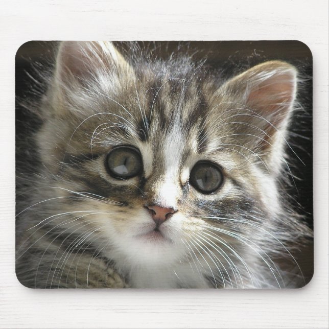 Rocky the Kitten Mousepad (Front)
