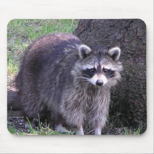 Rocky the Racoon Mouse Pad