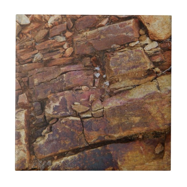Rocky View Tile (Front)
