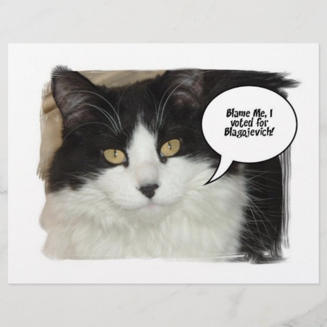 Rod Blagojevich Flyer (Front)