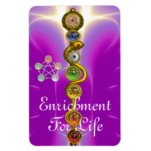 ROD OF ASCLEPIUS 7 CHAKRAS,YOGA ,SPIRITUAL ENERGY MAGNET