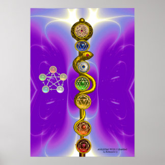 ROD OF ASCLEPIUS 7 CHAKRAS,YOGA ,SPIRITUAL ENERGY POSTER