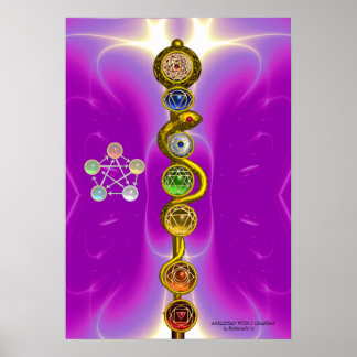 ROD OF ASCLEPIUS 7 CHAKRAS,YOGA ,SPIRITUAL ENERGY POSTER