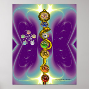 ROD OF ASCLEPIUS 7 CHAKRAS,YOGA ,SPIRITUAL ENERGY POSTER