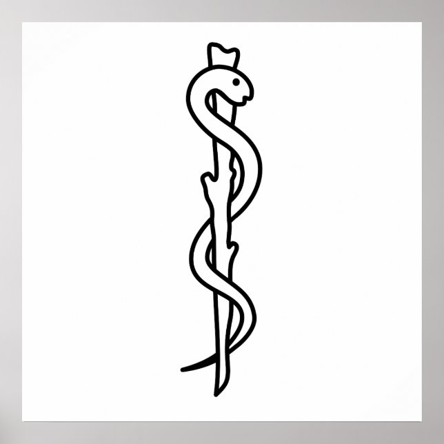 Rod of Asclepius Poster (Front)