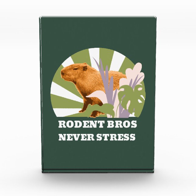 Rodent Bros Never Stress Funny Capybara Photo Block (Front)