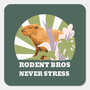 Rodent Bros Never Stress Funny Capybara Square Sticker