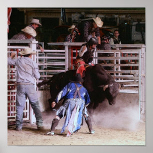 RODEO: BULL RIDING POSTER