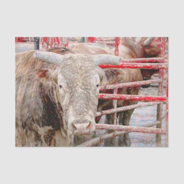 Rodeo Bull Rustic Country Western Tissue Paper (Front)