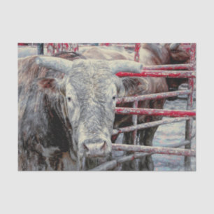 Rodeo Bull Rustic Vintage Grey Red Country Western Tissue Paper