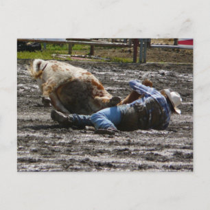 Rodeo Cowboy Steer Wrestling Postcard