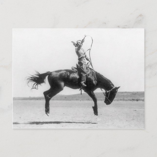 Rodeo Cowgirl on horse vintage photo Postcard (Front)