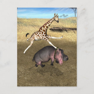 Rodeo Hippo Postcard