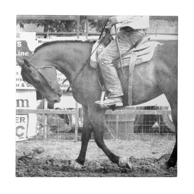 Rodeo Horse Warm-up Black and White Tile (Front)