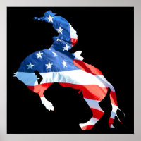 Rodeo is America - Bronco Riding