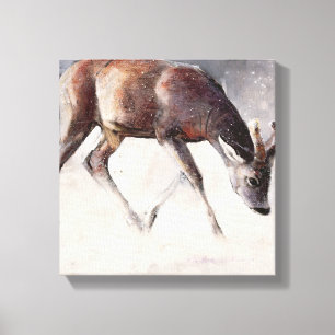 Roe Buck Winter 2000 Canvas Print
