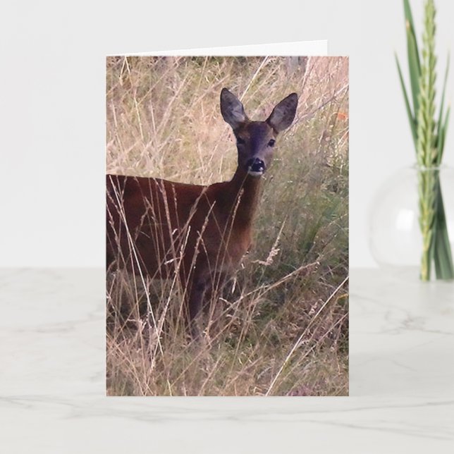 Roe deer graphic art card (Front)