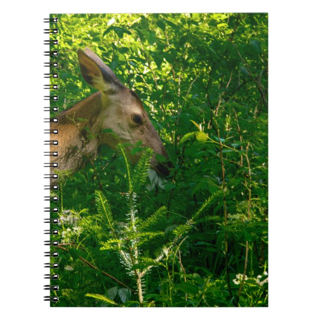 Roe deer in the forest. notebook (Front)