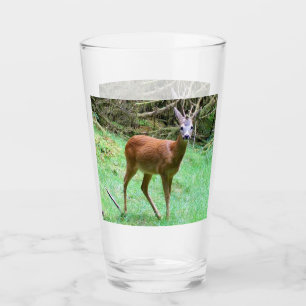 Roe Deer Stag Posing Glass