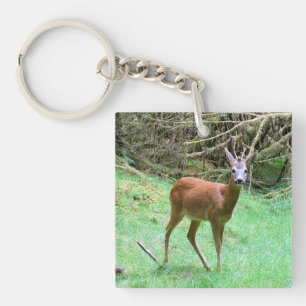 Roe Deer Stag Posing Key Ring