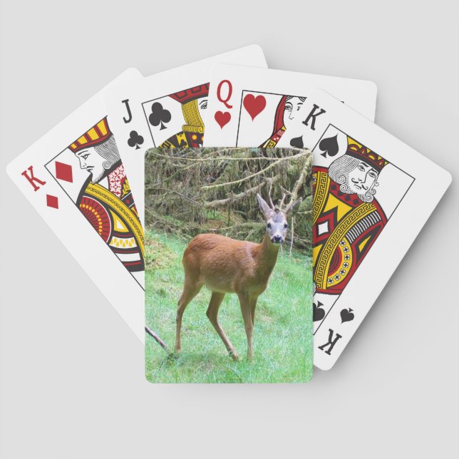 Roe Deer Stag Posing Playing Cards (Back)