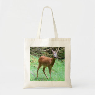 Roe Deer Stag Posing Tote Bag