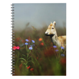 Roe in a Meadow Notebook