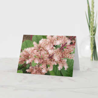 Rogersia Flower Blank Notecard