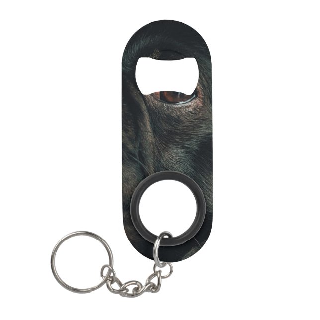 rojo dog (Front)
