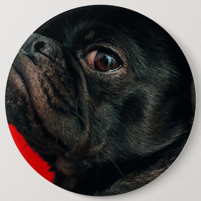 rojo dog 6 cm round badge (Front)