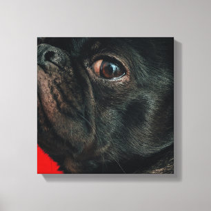 rojo dog canvas print