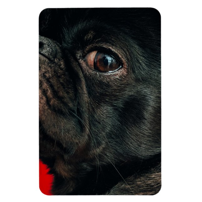 rojo dog magnet (Vertical)