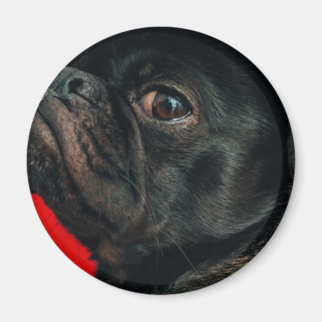 rojo dog magnet (Front)